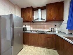 Dover Parkview (D5), Condominium #527089711